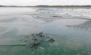 В українських річках рівень токсинів перевищує норму у 40 разів